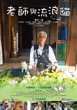 silk是什么面料
