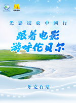 silk是什么面料